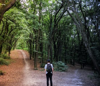 man standing in the middle of woods